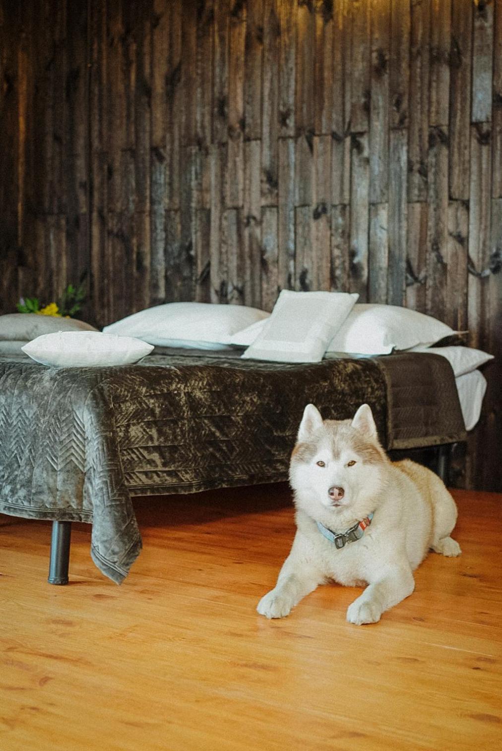 Hotel Долина Хюгге Chornomors'ke  Esterno foto